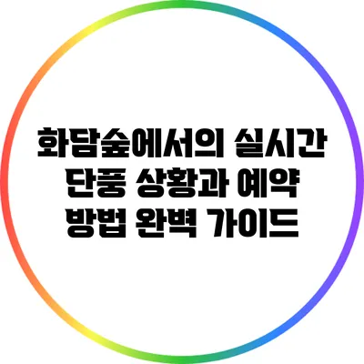 화담숲에서의 실시간 단풍 상황과 예약 방법 완벽 가이드