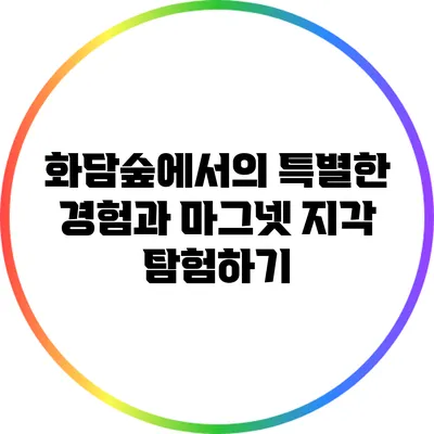 화담숲에서의 특별한 경험과 마그넷 지각 탐험하기