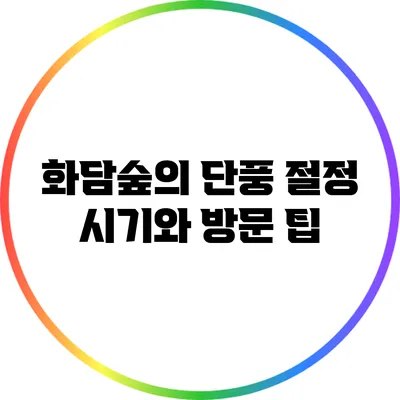 화담숲의 단풍 절정 시기와 방문 팁