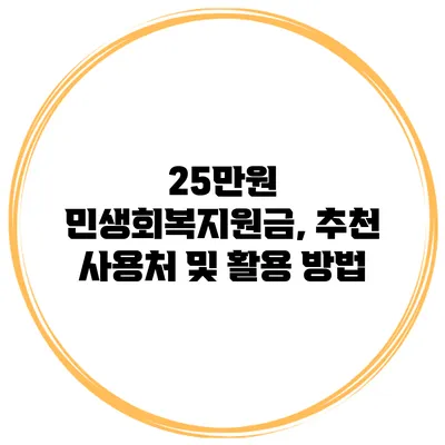 25만원 민생회복지원금, 추천 사용처 및 활용 방법
