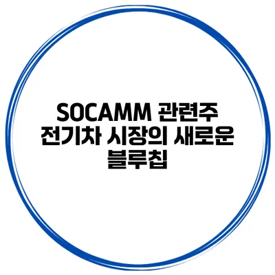 SOCAMM 관련주 전기차 시장의 새로운 블루칩?