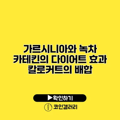 가르시니아와 녹차 카테킨의 다이어트 효과 칼로커트의 배합