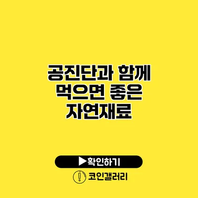 공진단과 함께 먹으면 좋은 자연재료