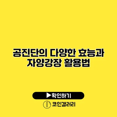 공진단의 다양한 효능과 자양강장 활용법