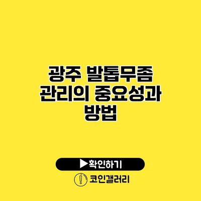 광주 발톱무좀 관리의 중요성과 방법
