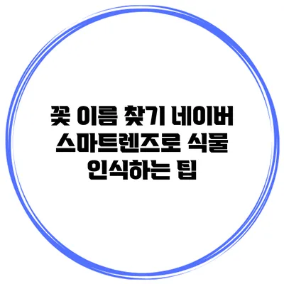 꽃 이름 찾기: 네이버 스마트렌즈로 식물 인식하는 팁