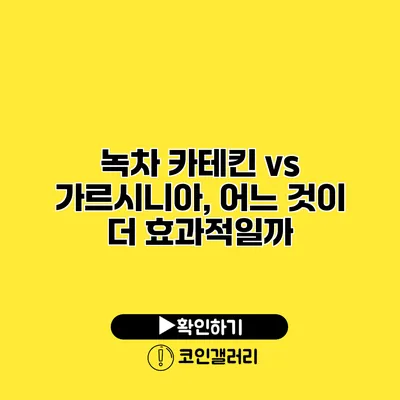 녹차 카테킨 vs 가르시니아, 어느 것이 더 효과적일까?