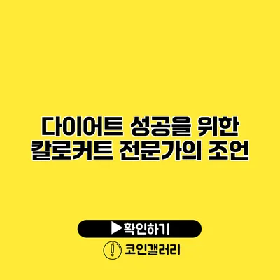 다이어트 성공을 위한 칼로커트 전문가의 조언