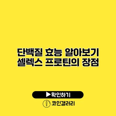 단백질 효능 알아보기 셀렉스 프로틴의 장점