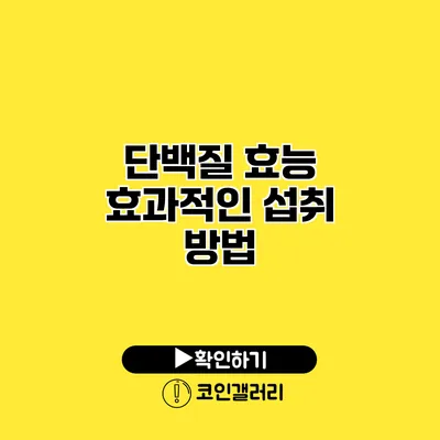 단백질 효능 효과적인 섭취 방법