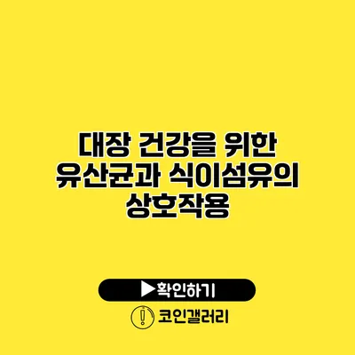 대장 건강을 위한 유산균과 식이섬유의 상호작용