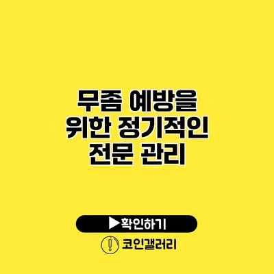 무좀 예방을 위한 정기적인 전문 관리