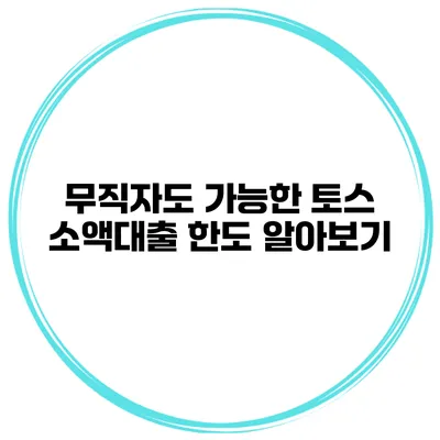 무직자도 가능한 토스 소액대출 한도 알아보기
