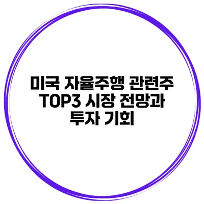 미국 자율주행 관련주 TOP3 시장 전망과 투자 기회