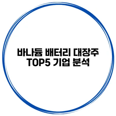 바나듐 배터리 대장주 TOP5 기업 분석