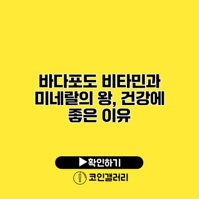 바다포도 비타민과 미네랄의 왕, 건강에 좋은 이유
