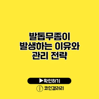 발톱무좀이 발생하는 이유와 관리 전략