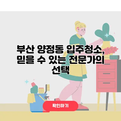 부산 양정동 입주청소, 믿을 수 있는 전문가의 선택