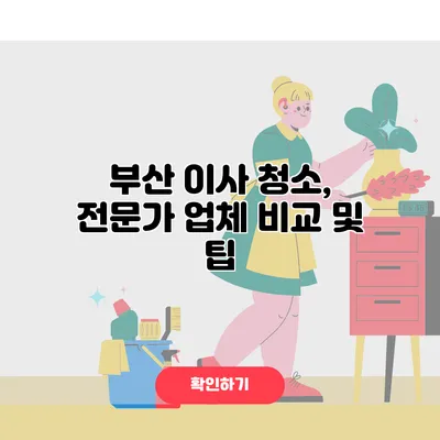 부산 이사 청소, 전문가 업체 비교 및 팁