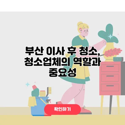 부산 이사 후 청소, 청소업체의 역할과 중요성