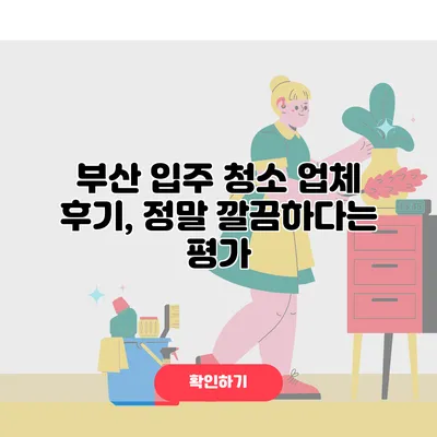 부산 입주 청소 업체 후기, 정말 깔끔하다는 평가