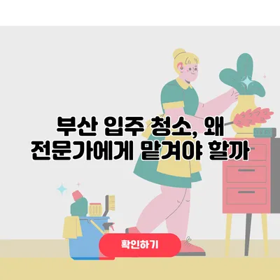 부산 입주 청소, 왜 전문가에게 맡겨야 할까?
