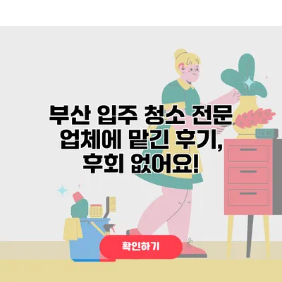 부산 입주 청소 전문 업체에 맡긴 후기, 후회 없어요!