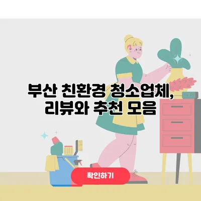 부산 친환경 청소업체, 리뷰와 추천 모음