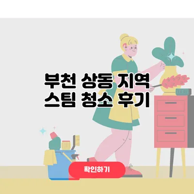 부천 상동 지역 스팀 청소 후기