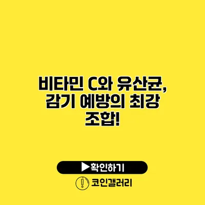 비타민 C와 유산균, 감기 예방의 최강 조합!