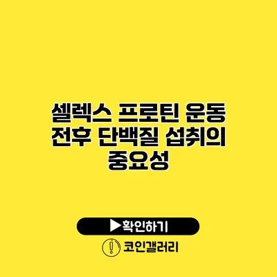 셀렉스 프로틴 운동 전후 단백질 섭취의 중요성