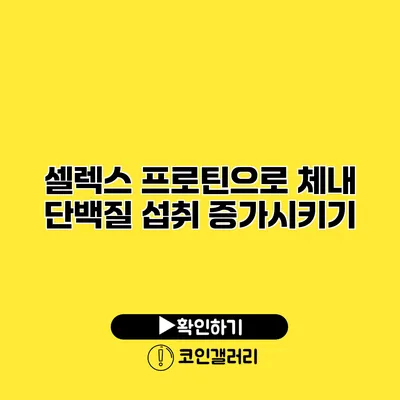 셀렉스 프로틴으로 체내 단백질 섭취 증가시키기