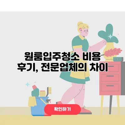 원룸입주청소 비용 후기, 전문업체의 차이
