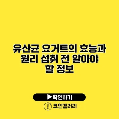 유산균 요거트의 효능과 원리 섭취 전 알아야 할 정보