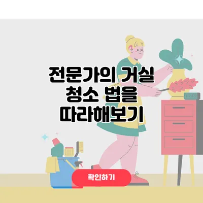 전문가의 거실 청소 법을 따라해보기