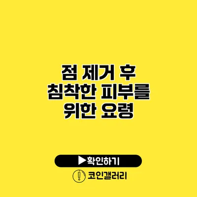 점 제거 후 침착한 피부를 위한 요령