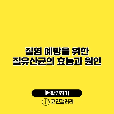 질염 예방을 위한 질유산균의 효능과 원인