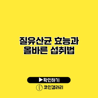 질유산균 효능과 올바른 섭취법