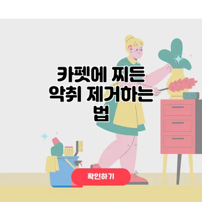 카펫에 찌든 악취 제거하는 법