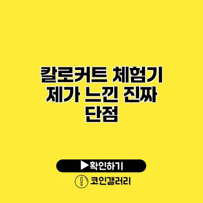 칼로커트 체험기 제가 느낀 진짜 단점