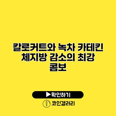 칼로커트와 녹차 카테킨 체지방 감소의 최강 콤보