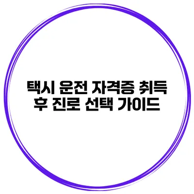 택시 운전 자격증 취득 후 진로 선택 가이드