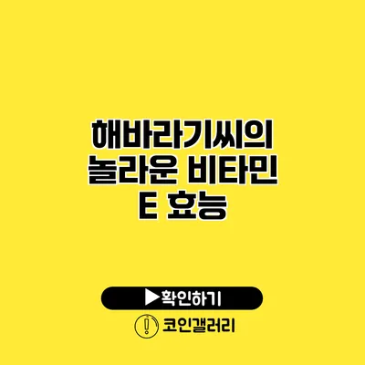 해바라기씨의 놀라운 비타민 E 효능