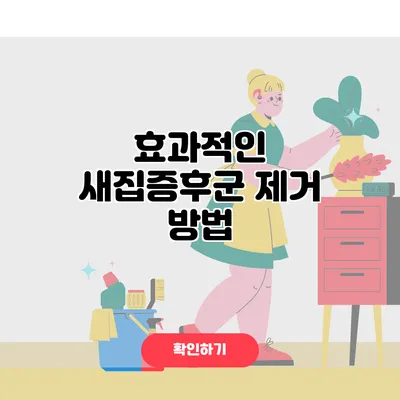 효과적인 새집증후군 제거 방법