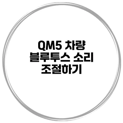 QM5 차량 블루투스 소리 조절하기