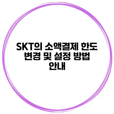 SKT의 소액결제 한도 변경 및 설정 방법 안내