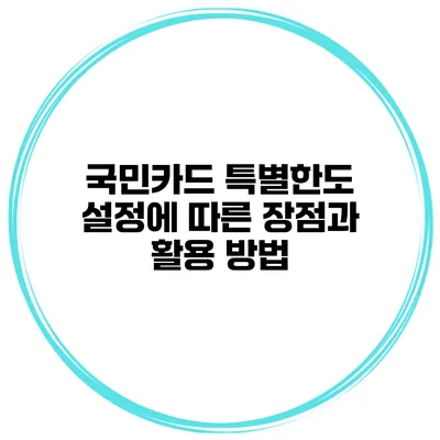 국민카드 특별한도 설정에 따른 장점과 활용 방법