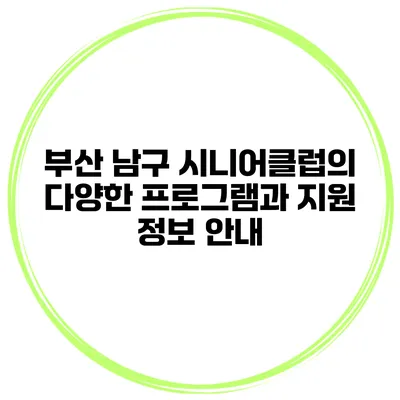 부산 남구 시니어클럽의 다양한 프로그램과 지원 정보 안내