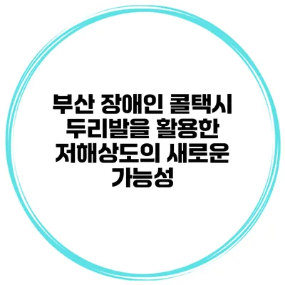부산 장애인 콜택시 두리발을 활용한 저해상도의 새로운 가능성