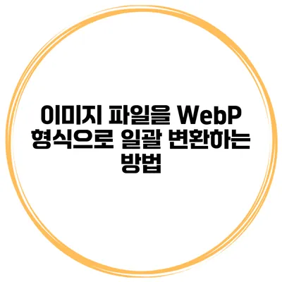 이미지 파일을 WebP 형식으로 일괄 변환하는 방법